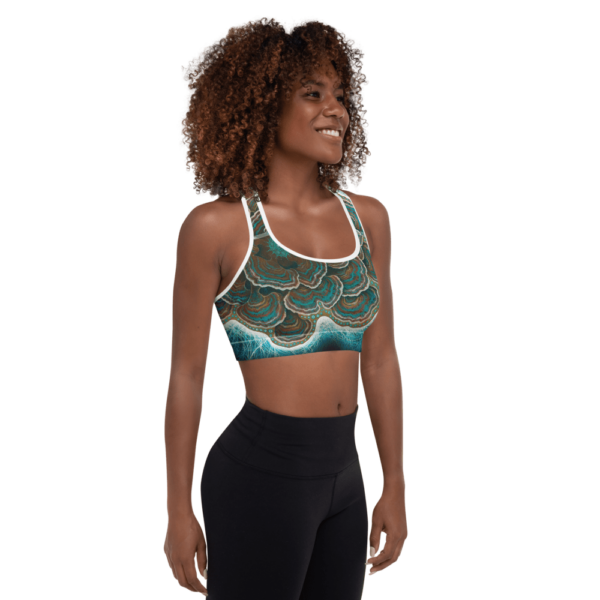 Trametes Versicolor Padded Sports Bra - Image 3